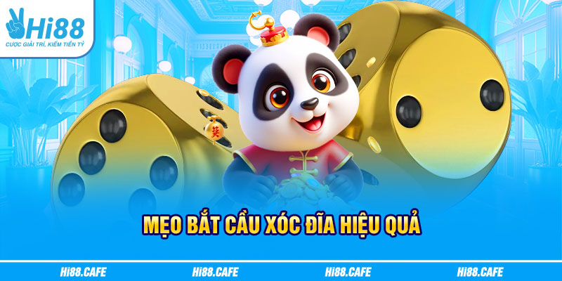 Mẹo bắt cầu xóc đĩa hiệu quả